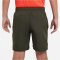 NIKE Dri-FIT Multi+ Icon Shorts Jungen 325 - cargo khaki/white XL (158-170 cm)