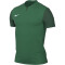 NIKE Dri-FIT Trophy 5 Fußballtrikot Herren 302 - pine green/gorge green/gorge green/white S