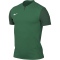 NIKE Trophy V Dri-FIT Fußballtrikot Herren 302 - pine green/gorge green/gorge green/white XL