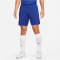NIKE FC Barcelona Strike Dri-FIT Knit Fu&szlig;ballshorts Herren 455 - deep royal blue/noble red S