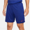 NIKE FC Barcelona Strike Dri-FIT Knit Fu&szlig;ballshorts Herren 455 - deep royal blue/noble red S