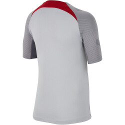 NIKE FC Liverpool Strike Dri-FIT Knit kurzarm...