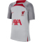 NIKE FC Liverpool Strike Dri-FIT Knit kurzarm Fu&szlig;ballshirt Kinder 015 - wolf grey/smoke grey/tough red M (137-147 cm)