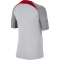 NIKE FC Liverpool Strike Dri-FIT Knit kurzarm Fu&szlig;ballshirt Kinder 015 - wolf grey/smoke grey/tough red M (137-147 cm)