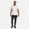 NIKE Academy 23 Dri-FIT Poloshirt Herren 012 - wolf grey/black/white S
