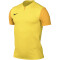 NIKE Dri-FIT Trophy 5 Fußballtrikot Herren 719 - tour yellow/university gold/black L