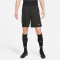 NIKE Dri-FIT Strike Fu&szlig;ballshorts Herren 010 - black/anthracite/anthracite/white XS
