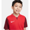NIKE Dri-FIT Trophy 5 Fu&szlig;balltrikot Kinder 657 - university red/team red/team red/white XS (122-128 cm)