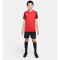 NIKE Dri-FIT Trophy 5 Fu&szlig;balltrikot Kinder 657 - university red/team red/team red/white XS (122-128 cm)
