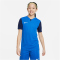 NIKE Dri-FIT Trophy 5 Fu&szlig;balltrikot Kinder 463 - royal blue/midnight navy/white L (147-158 cm)