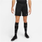 NIKE Academy 23 Dri-FIT Knit Fu&szlig;ballshorts Herren 010 - black/black/white XL