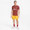 NIKE FC Barcelona Stadium Fourth Dri-FIT Fußballshorts Herren 2022/23 728 - amarillo/deep royal blue S