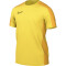 NIKE Academy 23 Dri-FIT kurzarm Fußball Trainingsshirt Herren 719 - tour yellow/university gold/black S