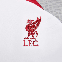 NIKE FC Liverpool Strike Dri-FIT Knit kurzarm Fu&szlig;ballshirt Herren 101 - white/smoke grey/tough red XL
