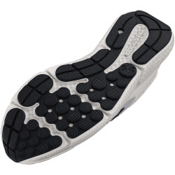 UNDER ARMOUR Charged Assert 10 Laufschuhe Herren