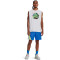 UNDER ARMOUR Curry ärmelloses T-Shirt Herren