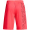 UNDER ARMOUR Tech Graphic Shorts Herren