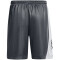 UNDER ARMOUR Curry Splash 9" Shorts Herren