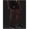 UNDER ARMOUR Fly By 2.0 2in1-Shorts Damen