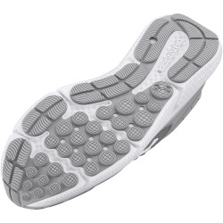 UNDER ARMOUR Charged Assert 10 Laufschuhe Herren 102 - mod gray/mod gray/white 42