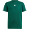 024A - cgreen/white