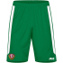 JAKO Dynamo Dresden Torwart Heimshorts 2024/25 Kinder 200...