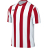 NIKE Division V Dri-FIT Stripe Trikot Herren 010 -...