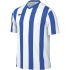 NIKE Division V Dri-FIT Stripe Trikot Herren 010 -...