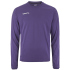 CRAFT Evolve 2.0 Crewneck Sweatshirt Herren 3460 - club...