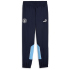 PUMA Manchester City FC ftblArchive Trainingshose Herren...