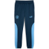 PUMA Manchester City FC ftblNRGY+ Trainingshose Herren 33...