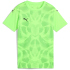 PUMA teamUltimate Trikot Kinder 02 - electro royal/puma...