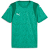 PUMA teamCUP Trikot Herren 01 - PUMA red/PUMA white/fast...