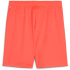 PUMA teamGOAL Shorts Herren 41 - modern mint M