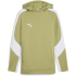 PUMA teamEvostripe Hoodie Herren 03 - PUMA black-PUMA...