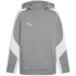 PUMA teamEvostripe Hoodie Herren 03 - PUMA black-PUMA...