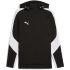 PUMA teamEvostripe Hoodie Herren 03 - PUMA black-PUMA...
