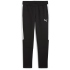 PUMA teamEvostripe Trainingshose Herren 03 - PUMA...