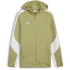 PUMA teamEvostripe Kapuzenjacke Herren 03 - PUMA...
