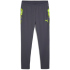PUMA IndividualCUP Trainingshose Herren 07 - PUMA black L