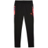 PUMA IndividualCUP Trainingshose Herren 07 - PUMA black L