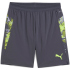 PUMA IndividualCUP Shorts Herren 08 - galactic gray S