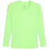 PUMA teamLIGA Baselayer Langarmshirt Herren 15 - green...