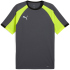PUMA IndividualLIGA Trikot Herren 01 - bluemazing S