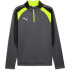 PUMA IndividualLIGA 1/4-Zip Trainings-Top Herren 01 -...