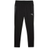 PUMA teamCUP Trainingshose Herren 03 - PUMA black/PUMA...
