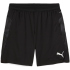PUMA teamCUP Trainingsshorts Herren 03 - PUMA black/PUMA...
