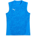 02 - electro royal/puma silver/puma team royal