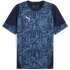 06 - puma navy/puma silver/blue horizon