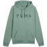 PUMA Cloudspun Branded Hoodie Herren 30 - green moon M